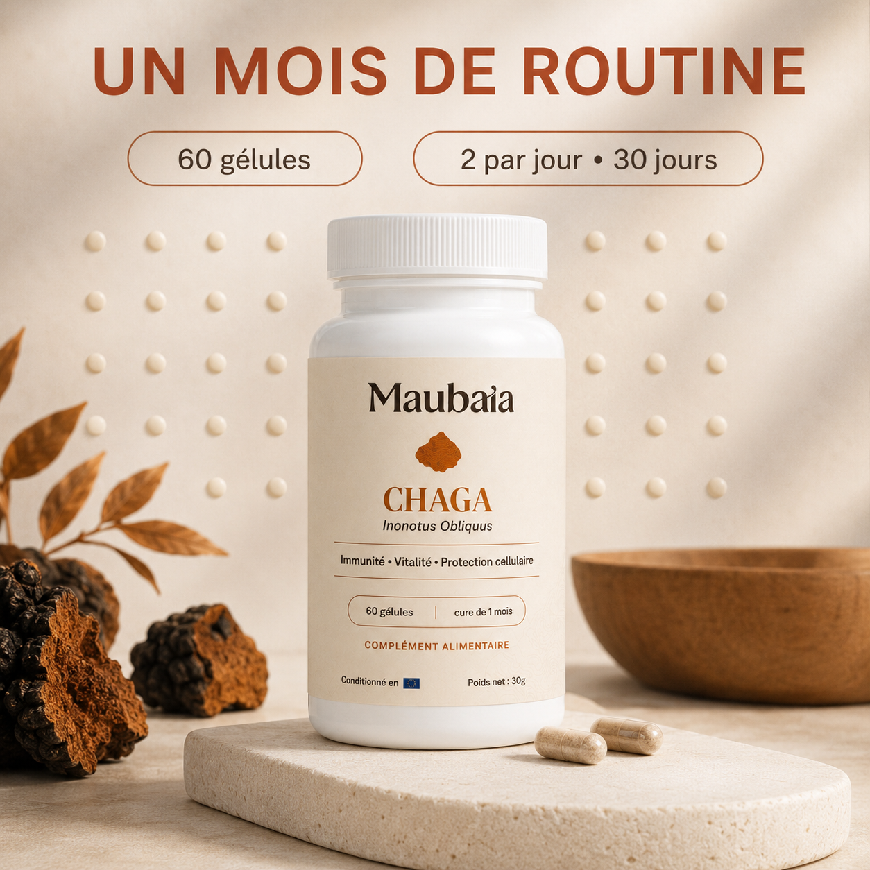 Chaga (gélules) | Immunité & Vitalité – Image 3