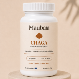 Pilulier de Chaga MAUBAIA avecdes gélules issues du champignon Inonotu oliquus pour la vitalité, la protection cellulaire et l'immunité