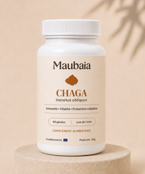 Pilulier de Chaga MAUBAIA avecdes gélules issues du champignon Inonotu oliquus pour la vitalité, la protection cellulaire et l'immunité
